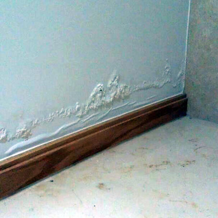 衛生間防水公司